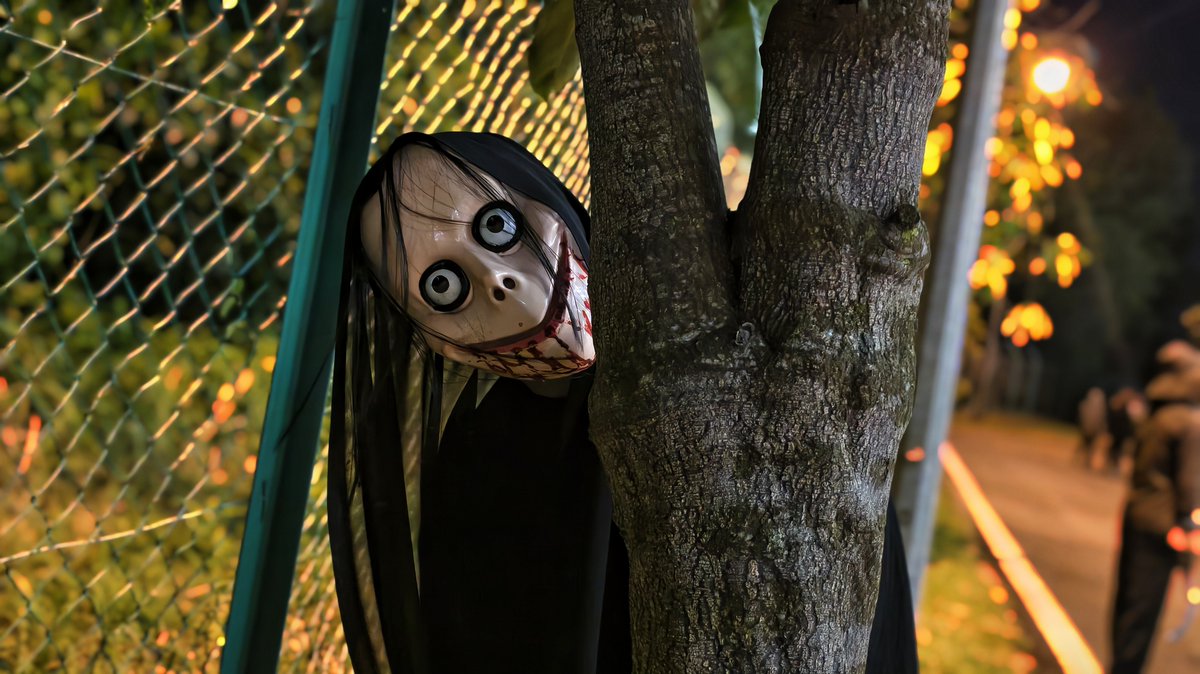 SinarOnline's tweet image. Peserta larian malam diganggu sembilan 'entiti'

Bukan sekadar program larian biasa, sebaliknya keberanian peserta 'Nightmare Run' di Universiti Teknologi Mara (UiTM) Seremban 3, di sini benar-benar diuji apabila mereka terpaksa berdepan ‘gangguan’ sembilan entiti berkostum