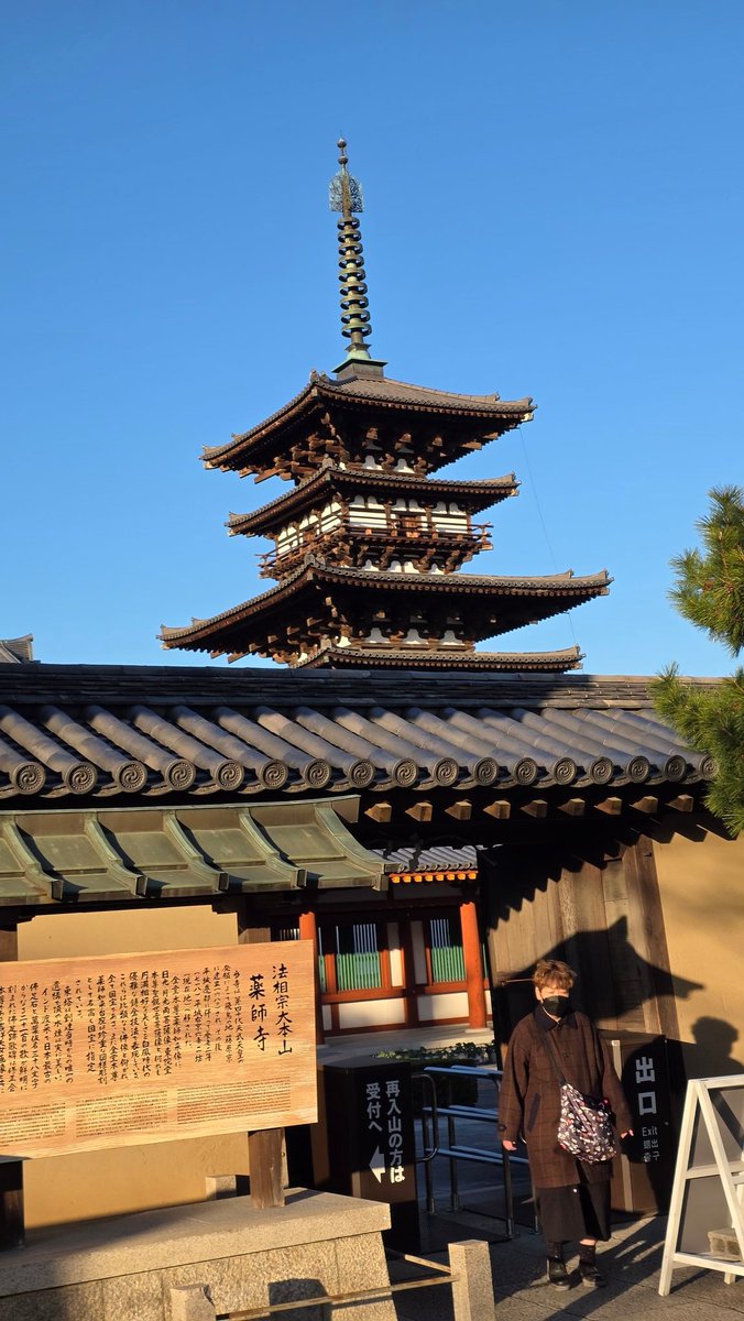 umedzy's tweet image. 