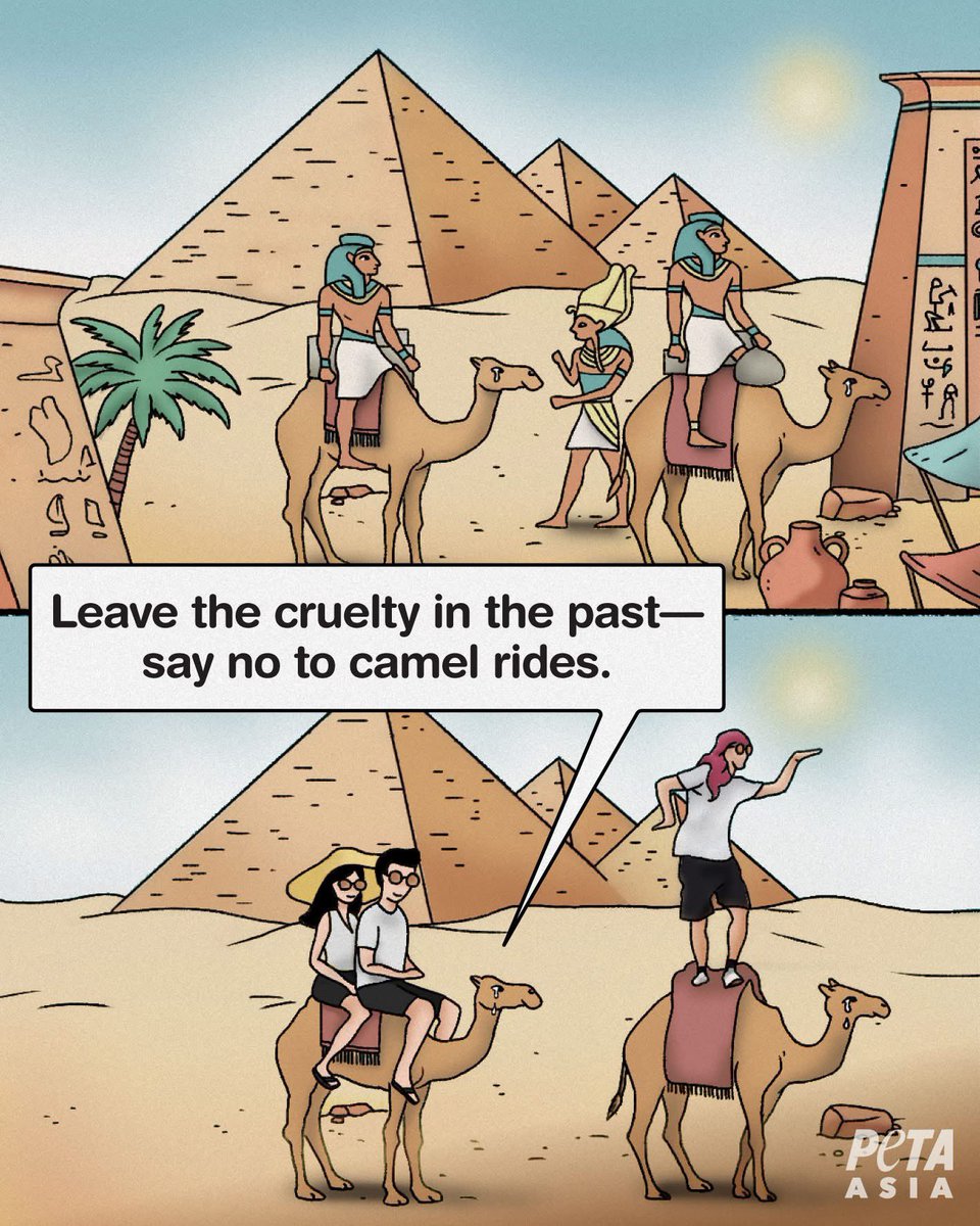 Tired Camel Art Print by Gina Cordova, image size:960x1200