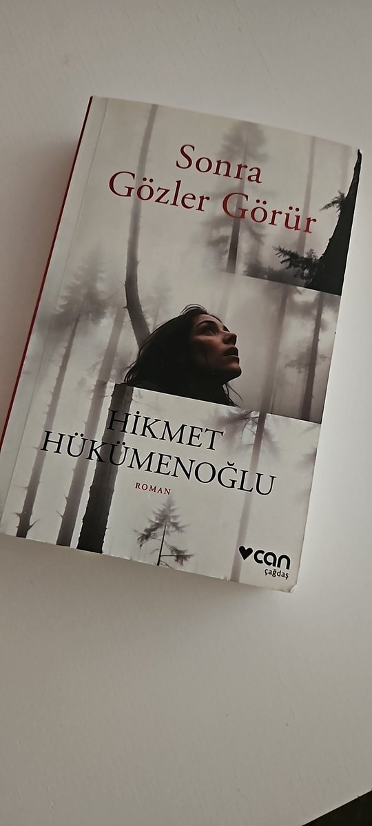 Fizik tedavide 500 sayfalık kitap bitirdim resmen. Çok iyi bu arada, dedektif/kasaba gerilimi. Hikmet H çok iyi yazar