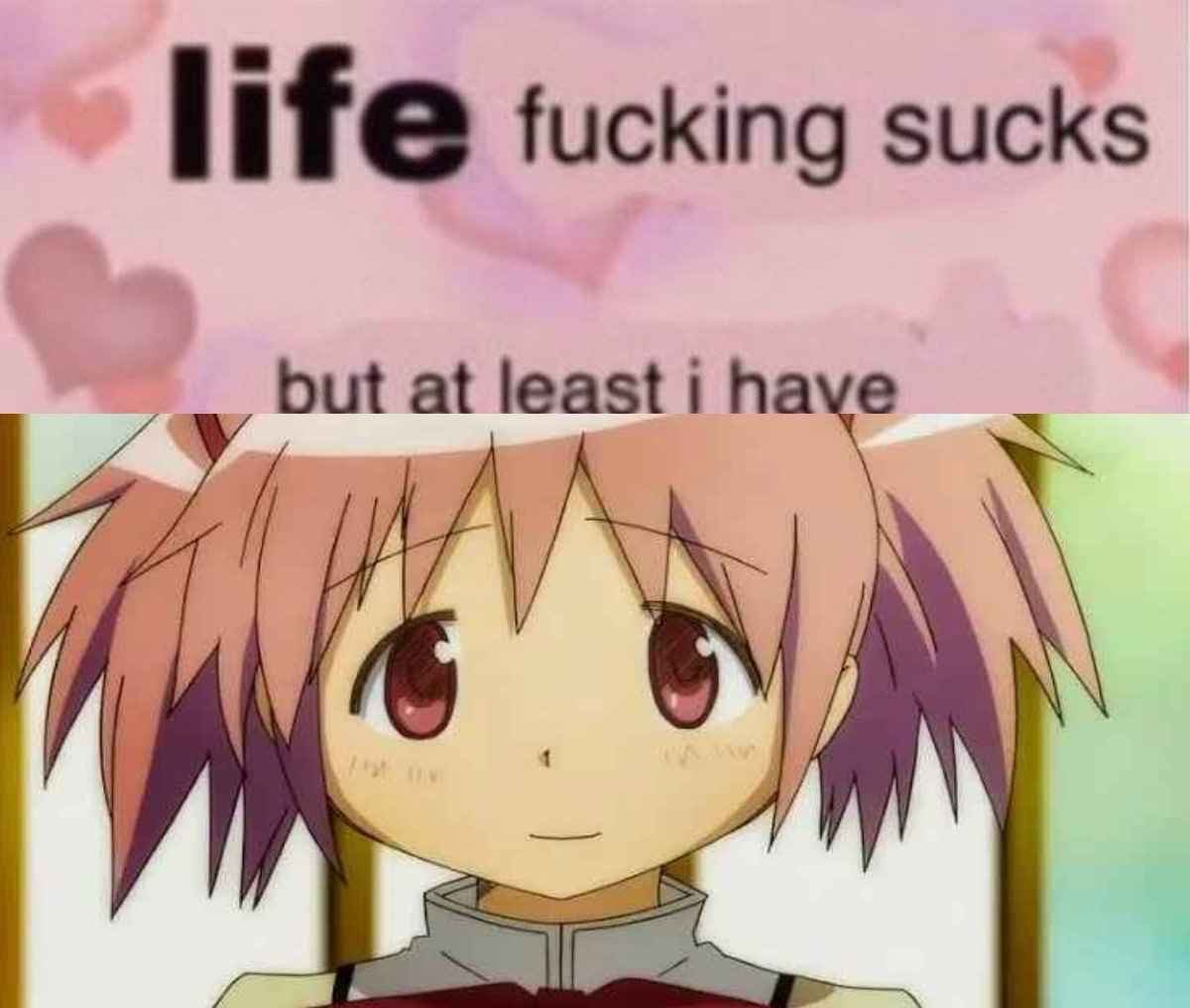 vxm, image size:1200x1016