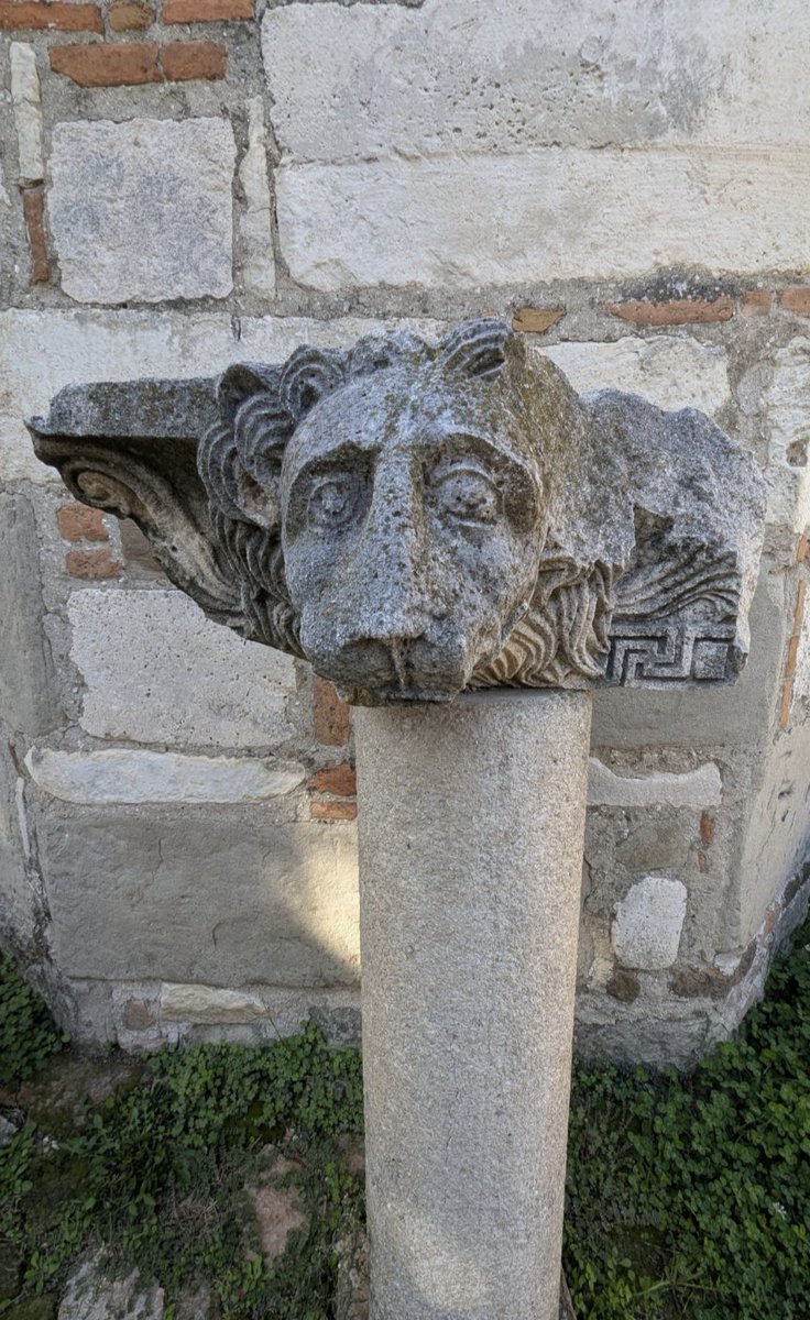 Jim73131158's tweet photo. One of the many lion carvings from Apollonia Archeology Museum in Albania.
Determined to be C3 BC ish Hellenistic because of the Greek Key pattern on the lower right. This museum is also loaded with Roman artefacts.
#caturday #stoneworksaturday #archaeology https://t.co/ZQ1BYHyxn4