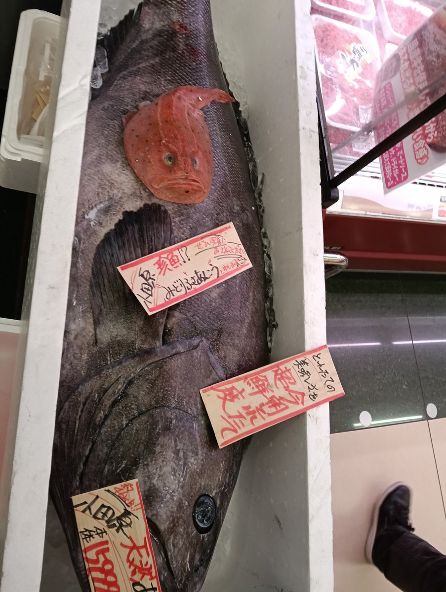 的場文男 (@fumio230uma) / Posts / X