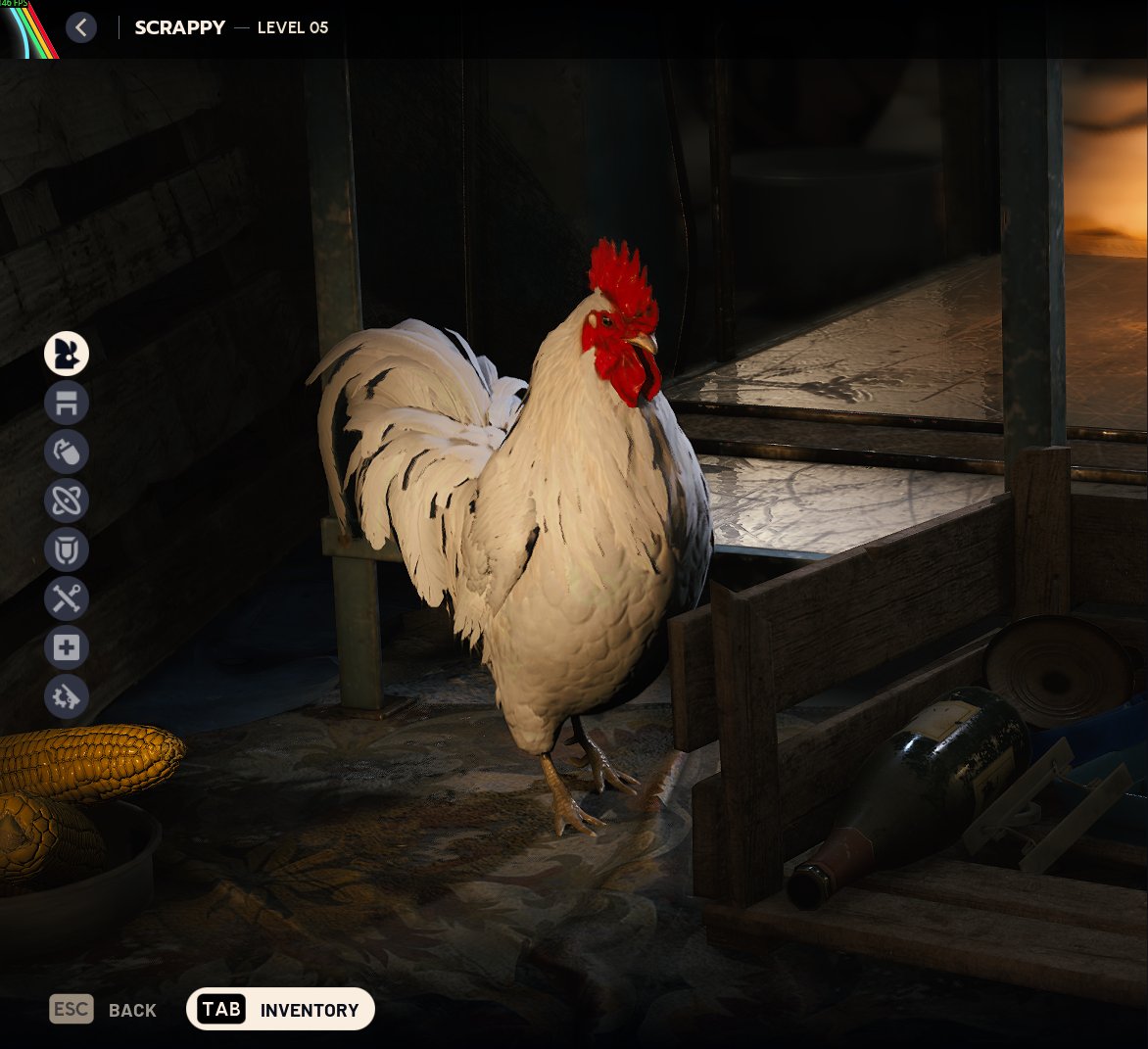 white cock reveal