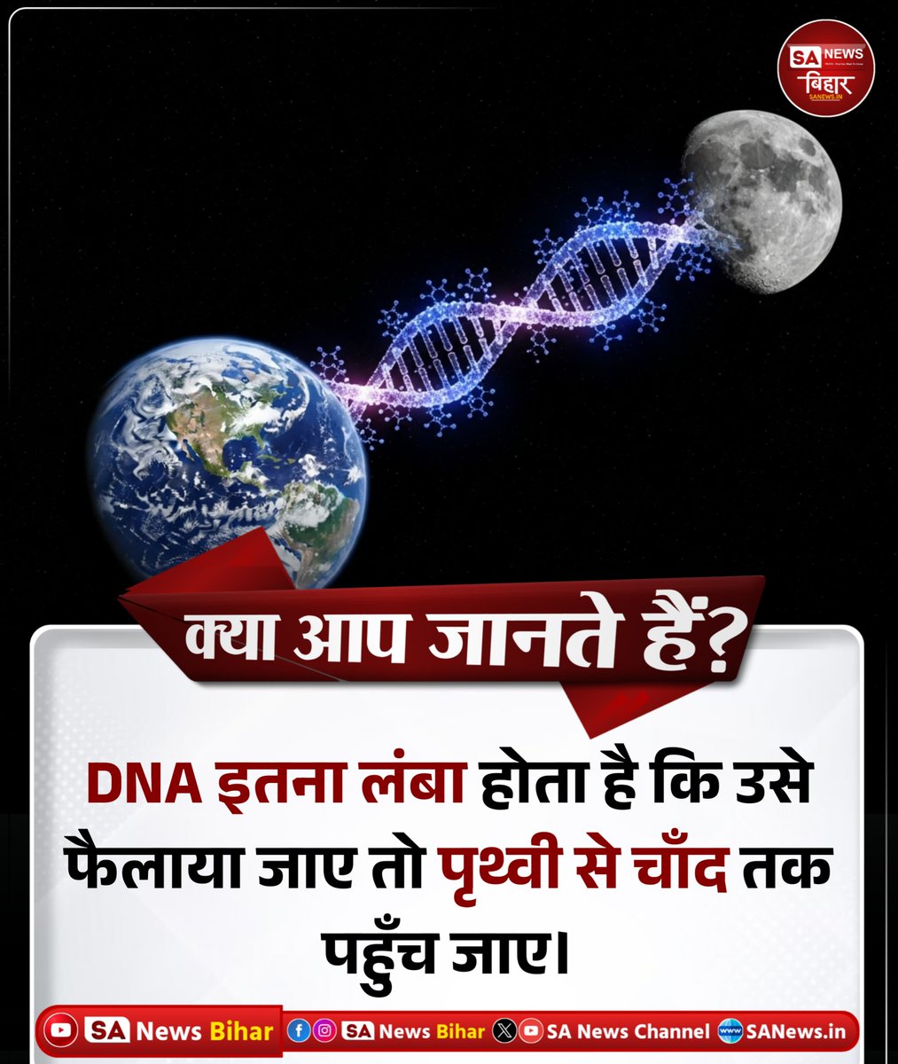 sanewsbihar's tweet photo. क्या आप जानते हैं?

DNA इतना लंबा होता है कि उसे
फैलाया जाए तो पृथ्वी से चाँद तक
पहुँच जाए।

#DNAFacts #ScienceAmazing #DidYouKnow #HumanBody #SANewsBihar https://t.co/R1bYkvWULf