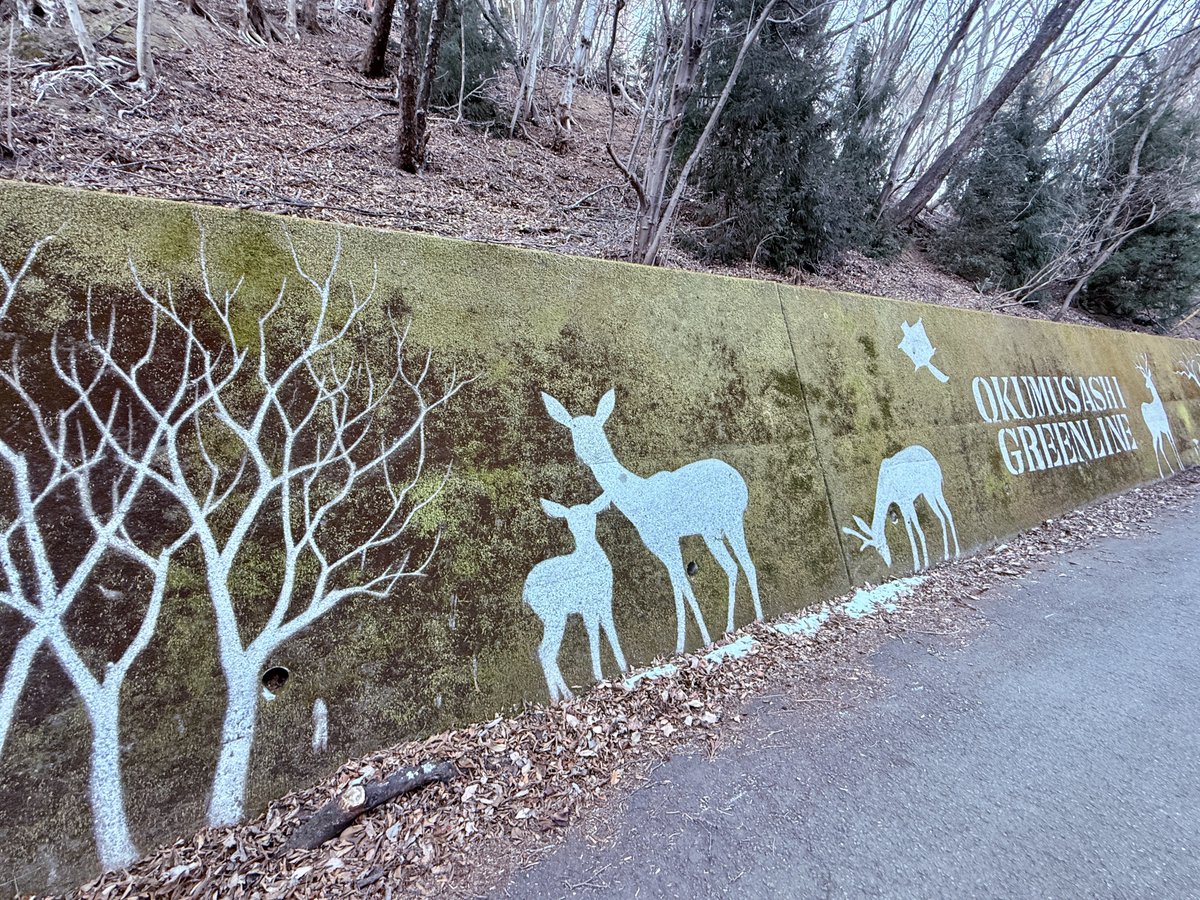 ❣️苔アート❣️翔オーダー❣️ジャングル❣️送料込み、❣️ ❣️苔アート❣️翔オーダー❣️ジャングル❣️送料込み、❣️ ❣️苔