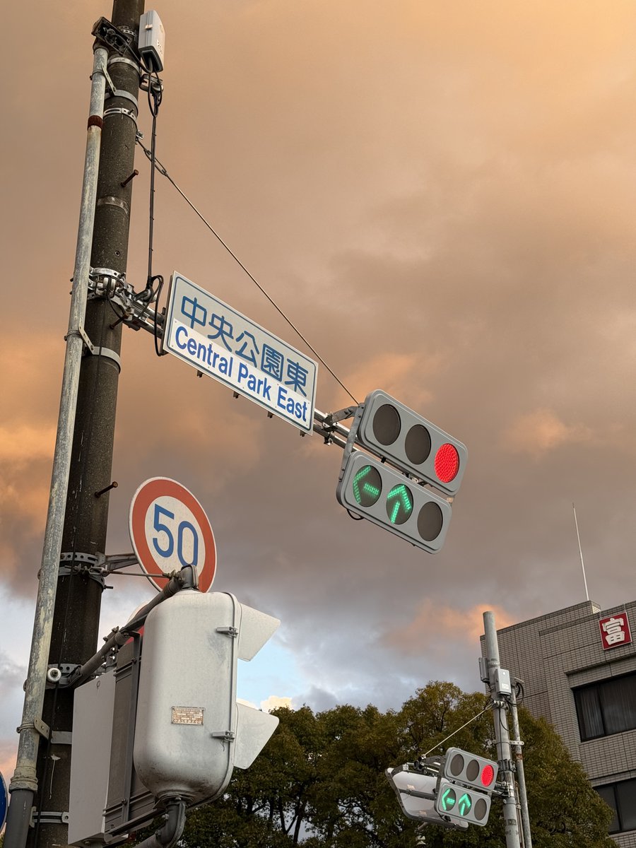 梶(KAJI)＠sig-nal-Zのひと (@signal_Z_Owner) / Posts / X