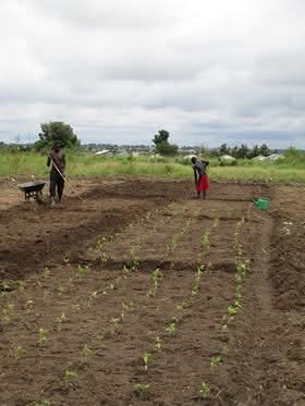 FSSA_Eskender's tweet photo. 8 years ago, I served as a humanitarian worker in South Sudan with a small church organization. I served God with love, training South Sudanese farmers and refugees in agricultural productivity.
Sudan is still in crisis 💔. Lord, please give them peace. https://t.co/dYU582nsYz