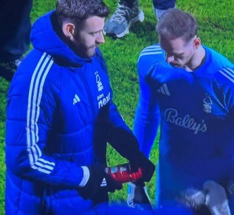 The Beak of Beak Street 🏆 🏆 tweet media