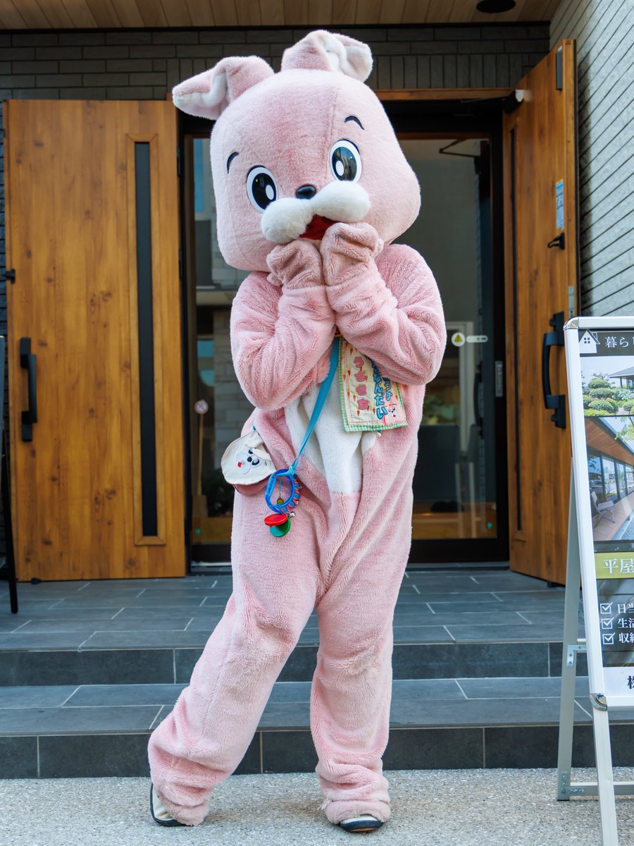 うさきち【公式】USAKICHI (@go_go_usakichi) / Posts / X