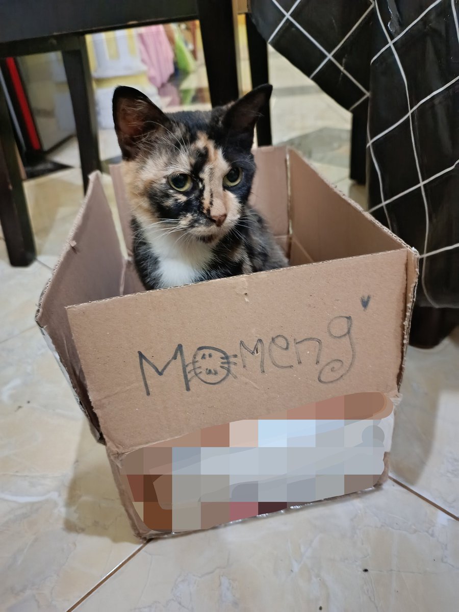 indrianiRatih's tweet photo. 😭😭😭😭😭

🐈‍⬛🤍🪽🥀 https://t.co/QTvVRzO3Mp