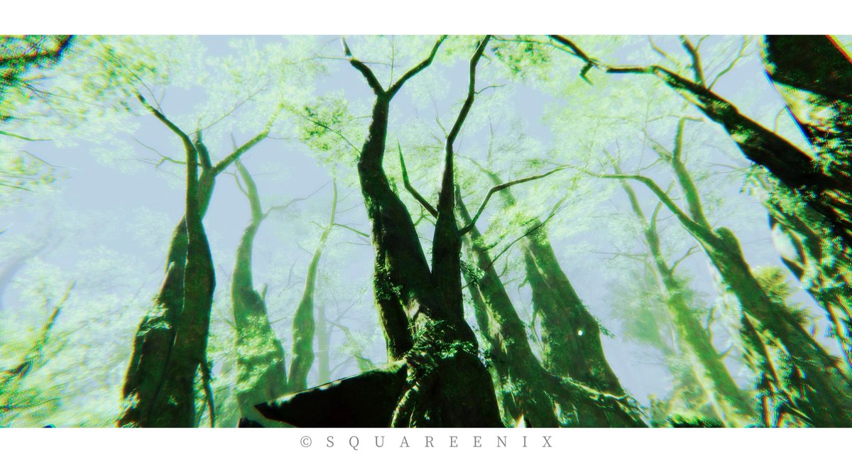 東部森林

#FF14風景 
#FF14SS