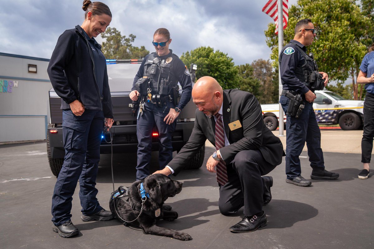 James Mai tweet media