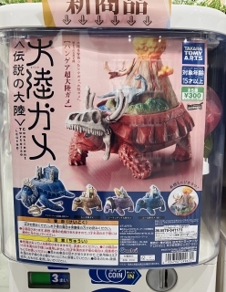 ガシャココ@ららぽーと磐田入荷商品 ⭐️🐢大陸ガメ🐢⭐️ 〈伝説の