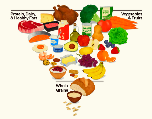 GT Metab Óseo SEEN tweet media