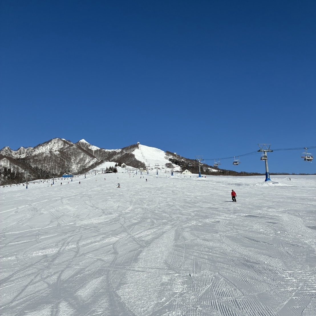 iwappara's tweet photo. 気温は低め🥶量は多くは無かったですが降りました🌨⛄️
そして、朝からの雲もない晴天☀️
気持ちいい日です😆✨️ https://t.co/Ky7N7wdMl1