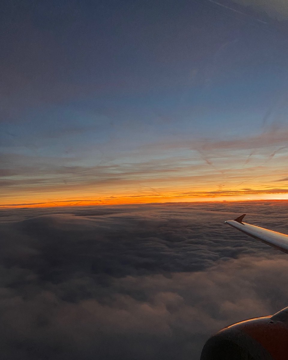 Sports Entertainment Tours tweet media