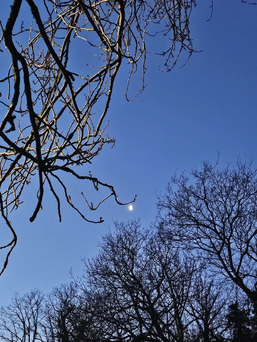 JackieGMs66's tweet image. Absolutely freezing this morning and like glass out there. Take care #weather #freezing #winter #Ivybridge #ice