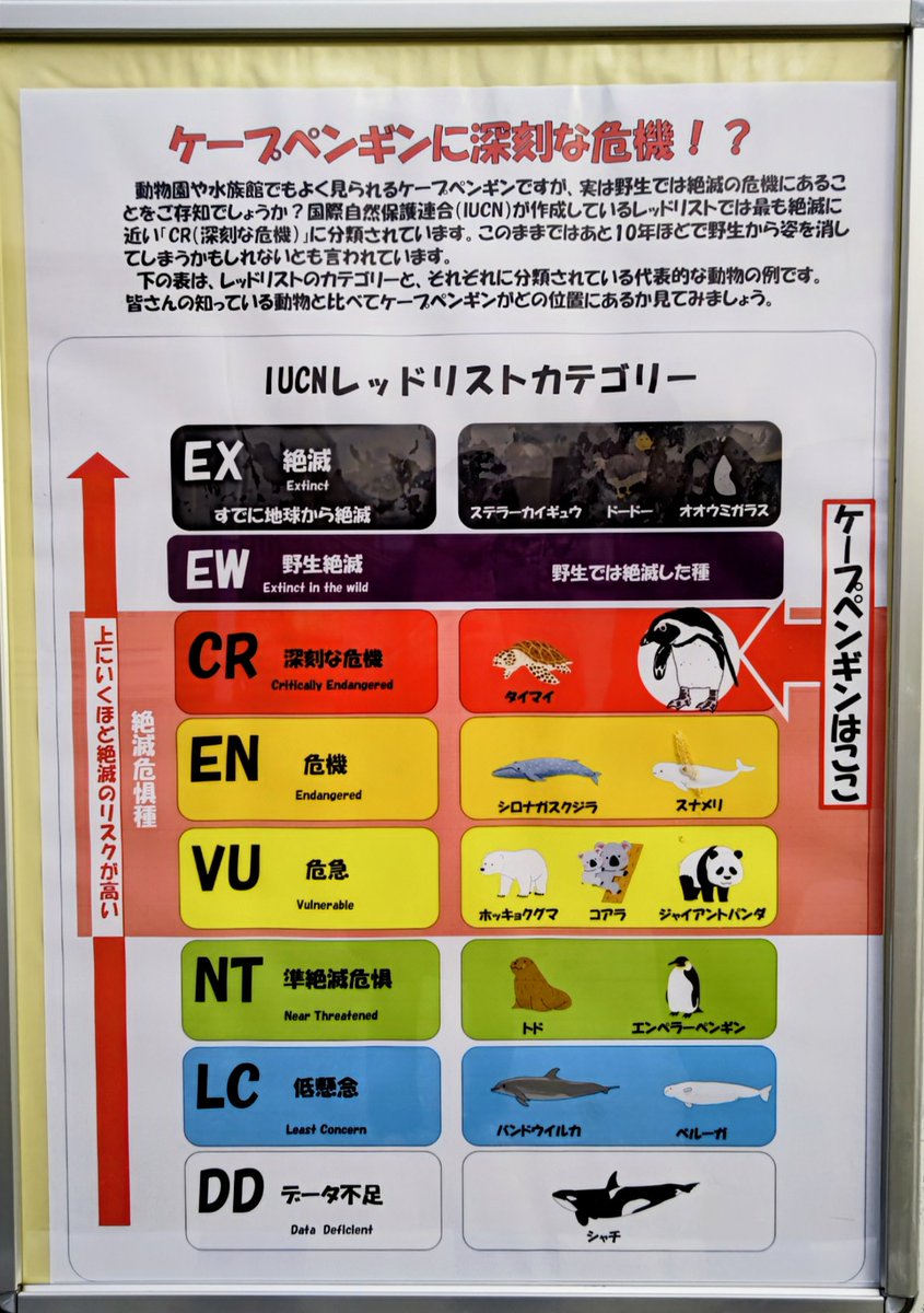 動物園や水族館で当たり前に見られる生き物も現実には…