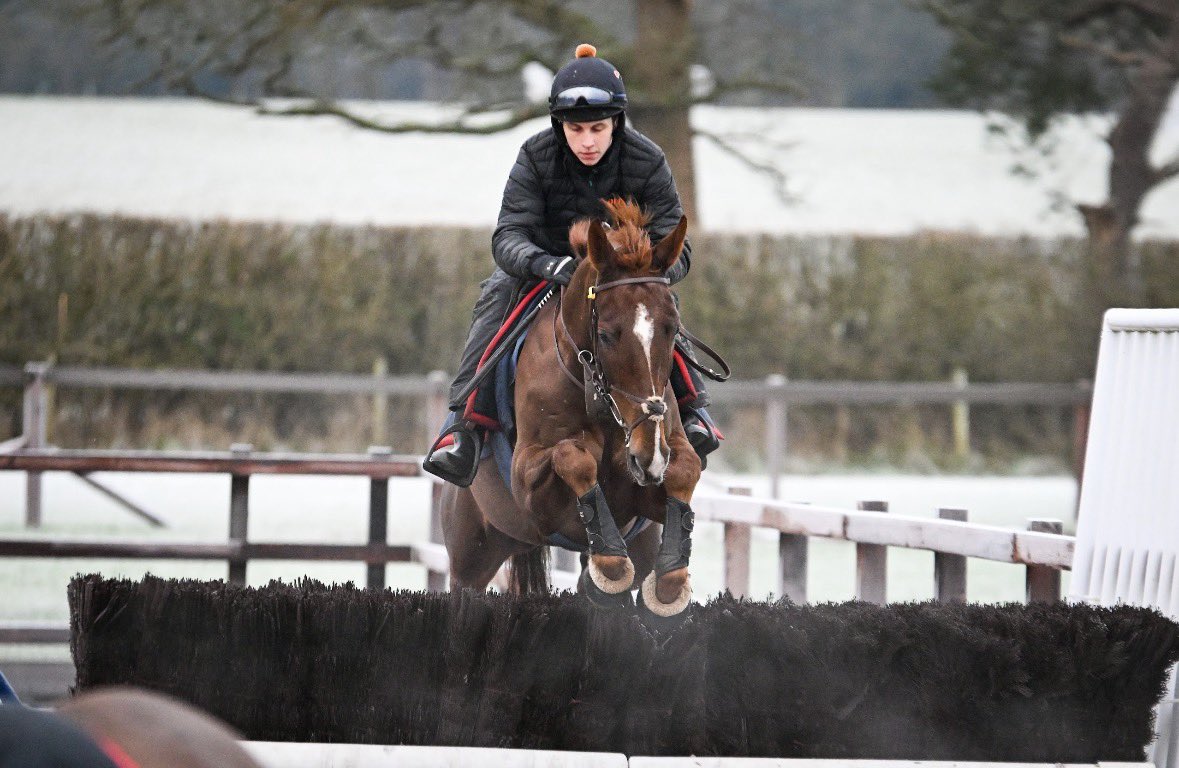 Harry Derham tweet media