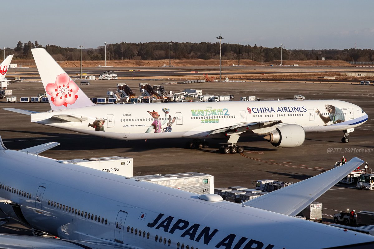 RJTT_747forever's tweet image. 本日は久しぶりに成田へ。快晴の下、漸くCIのズートピア塗装機を記録できました！🐰🐍🦊

China Airlines 🇹🇼
Boeing 777-36N(ER) B-18055
"Zootopia 2 Livery"
NRT/RJAA 2025.01.10 #成田空港