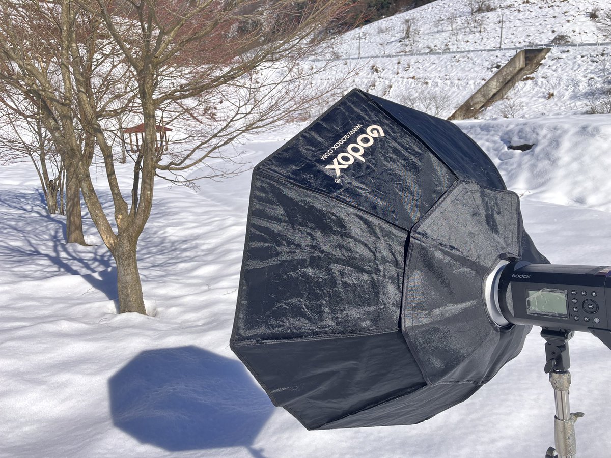 ramelew's tweet image. 雪です！！