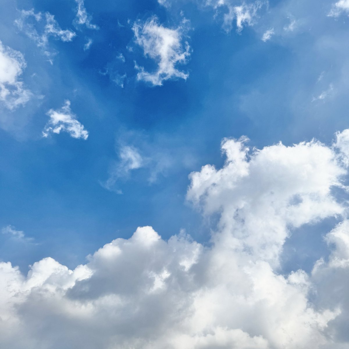 Complex_weekend's tweet image. 무뎌지고 지나갔다 생각하지만 종종 휘몰아친다
잔뜩 웅크리고 따뜻함에 안겨있고 싶다
다정함과 나긋한 온기에 기대고 싶다
지치고 헤진 마음은 내가 기워야지
약한 모습 드러내기 싫지만. 기록해야지.
단단하지만 생채기는 날 수 있으니까,
흉터가 아릴 수 있지