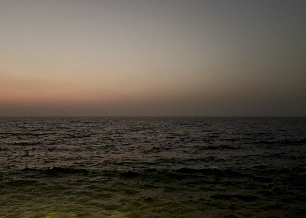 Layan Almulla tweet media