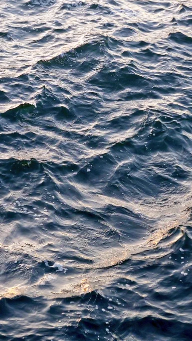 海