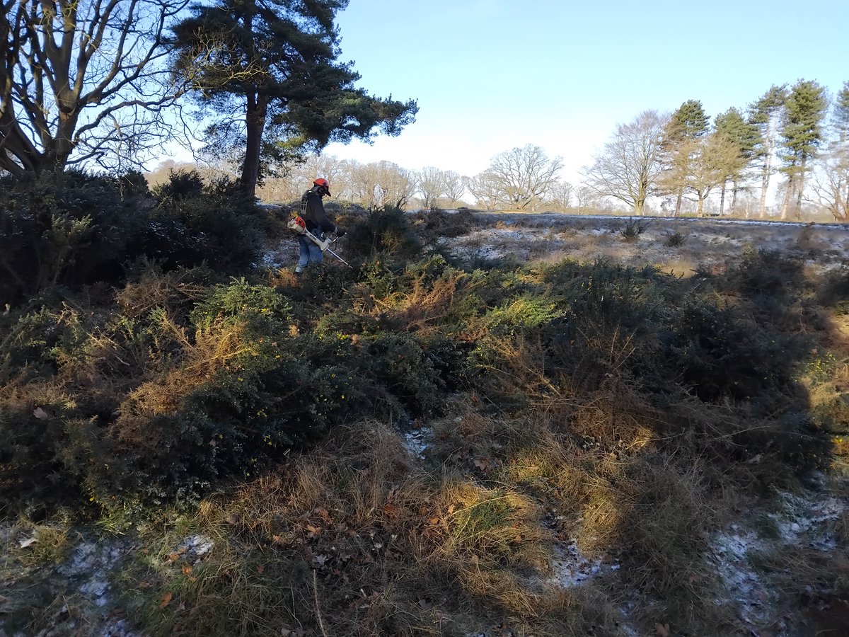 Greenways Project tweet media