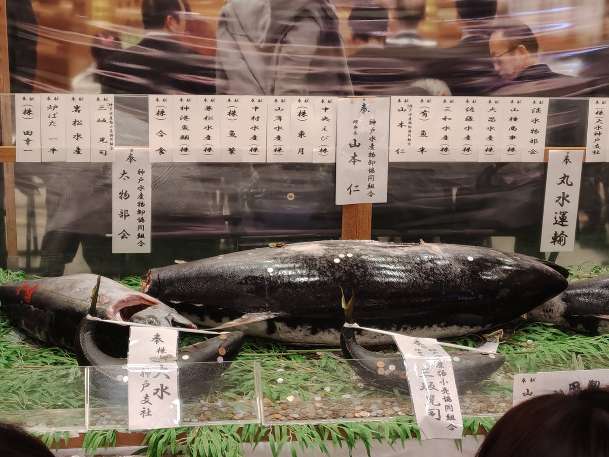 しげちゃん (@s61ae86trueno3d) / Posts / X