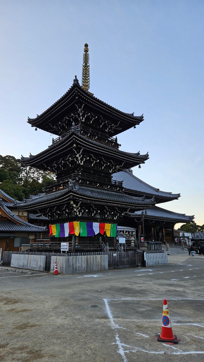 みん様写真などです、 フード総柄Tシャツ(LEMON NINJIN EDAMAME)[商品：PN18SS-099-5R