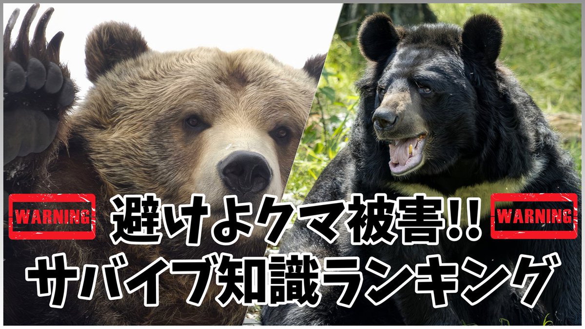 RankingLabo1's tweet photo. 避けよクマ被害!!サバイブ知識ランキングhttps://t.co/huTpTxx6XI https://t.co/kr8Uf5nAe5