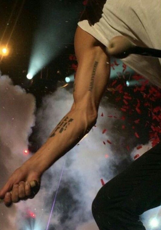 THEJUDGEOHNO's tweet image. Tylers arms thats it. thats the tweet .