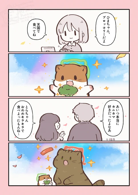 ひまちゃんと天国の面接 思い出したら、想いが届く 