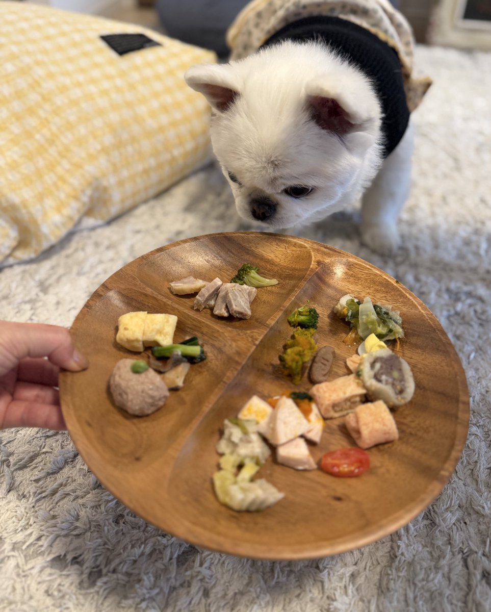 Yu Kawakami (Shizuku Morino)