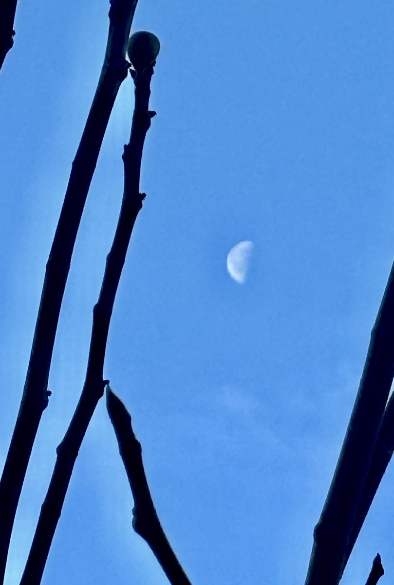 ValdiviaRVP's tweet image. #HalfMoon #Spain #RightNow