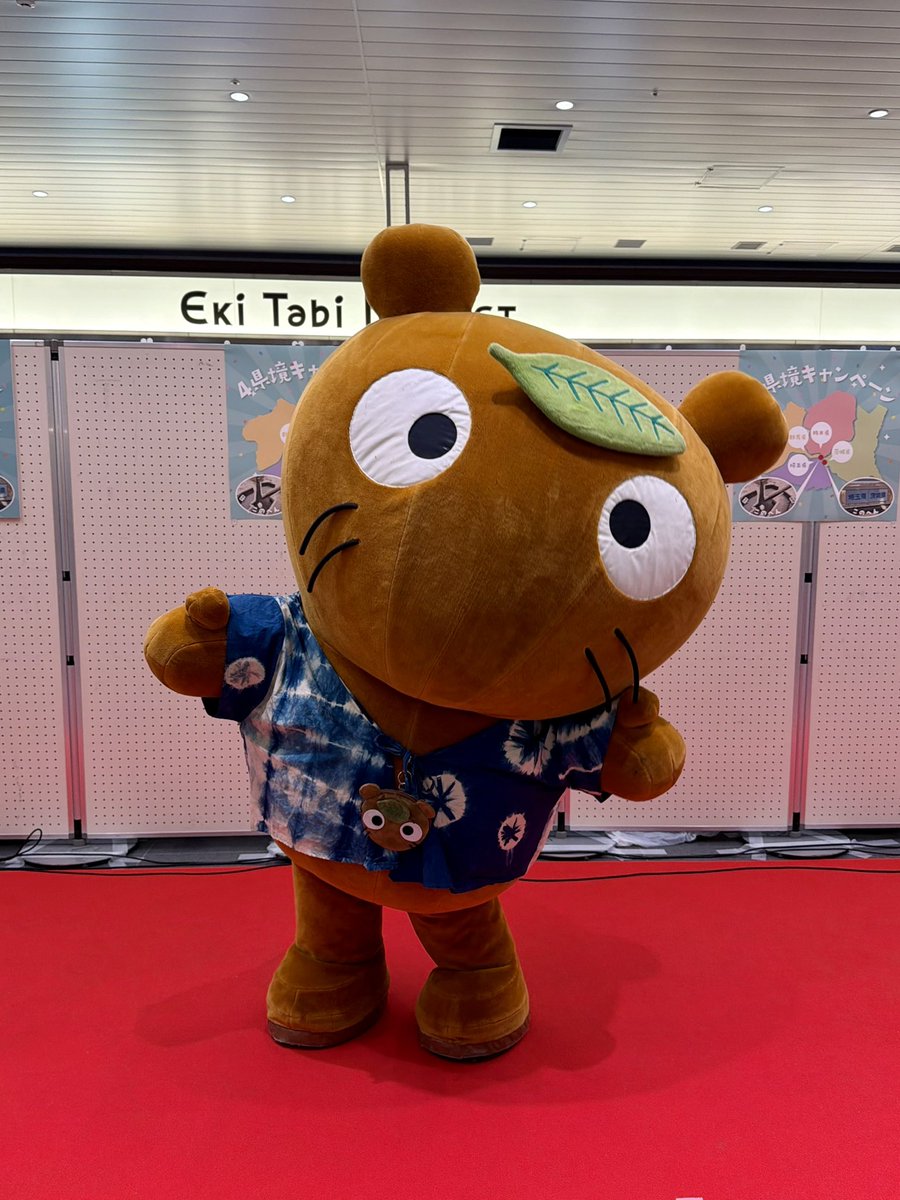 豪華すぎる顔ぶれ🥺💖✨
#ぐんまちゃん #さのまる #コバトン
#たかみにゃん石 #フラべぇ #こぜにちゃん
#4県境エリア観光キャンペーン