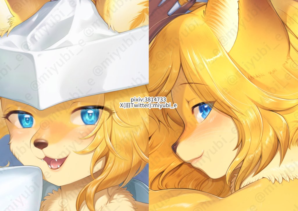 再販1
【白無垢妙ちゃん】 