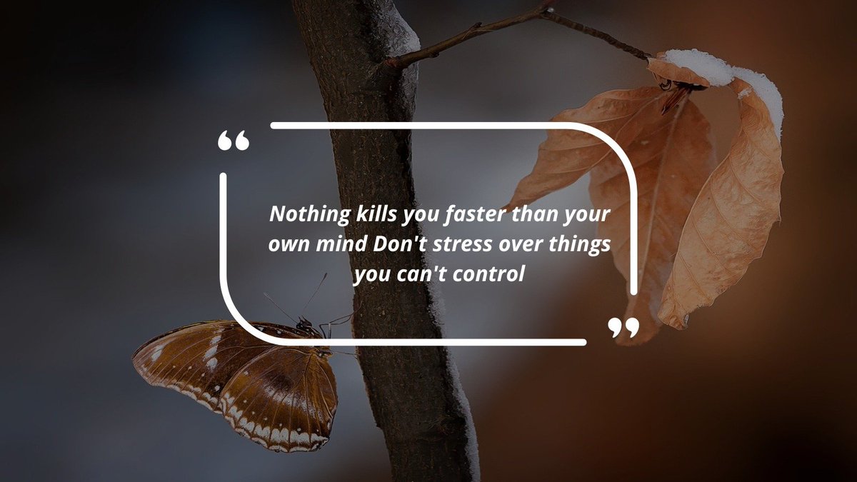 SuccessSparksX's tweet image. Nothing kills you faster than your own mind Don't stress over things  you can't control