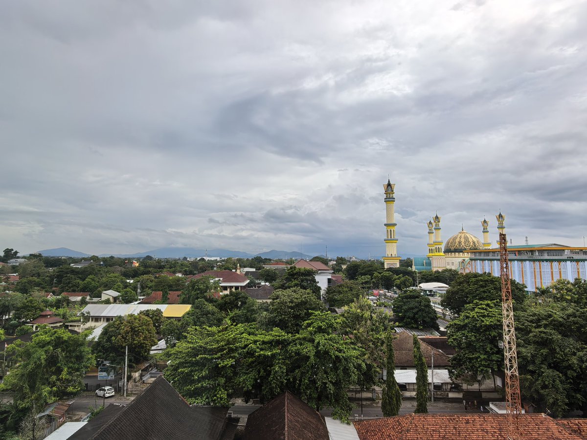 tj.tintin™ tweet media