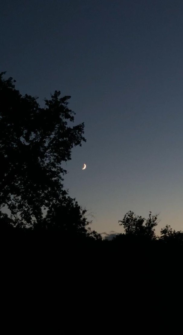 dqsada's tweet image. 友達に新しいレストランに誘われたけど、お財布事情を考えると悩ましい 🐪