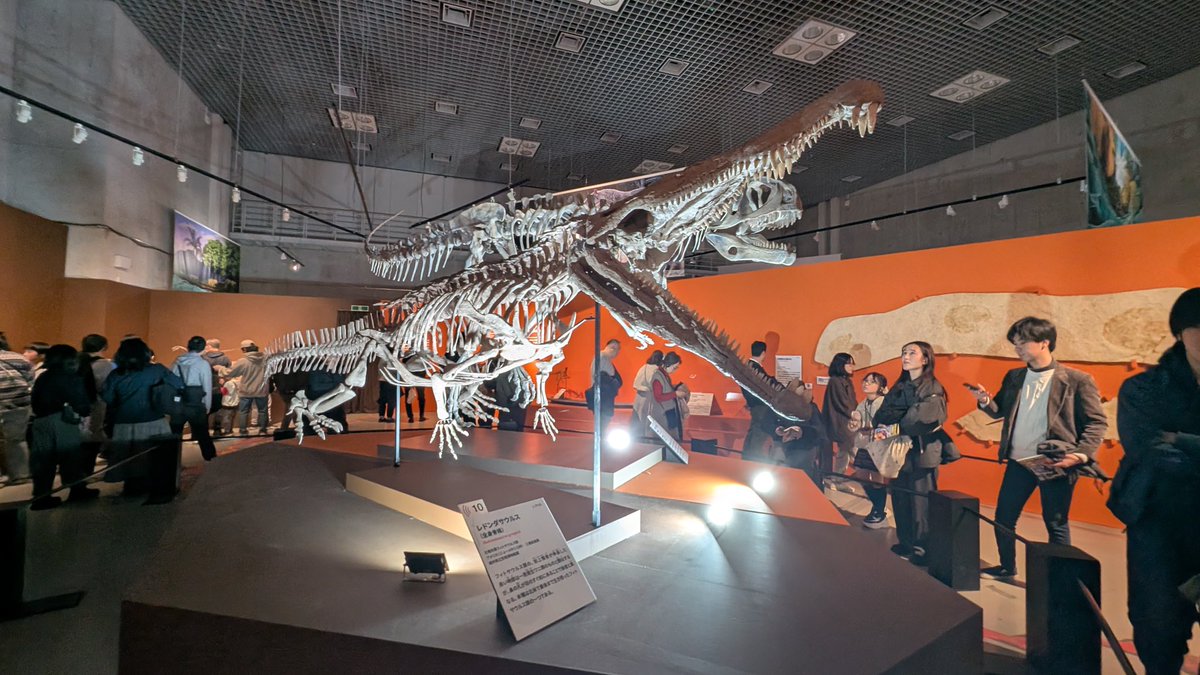 ささみ (@33mi3) / Posts / X