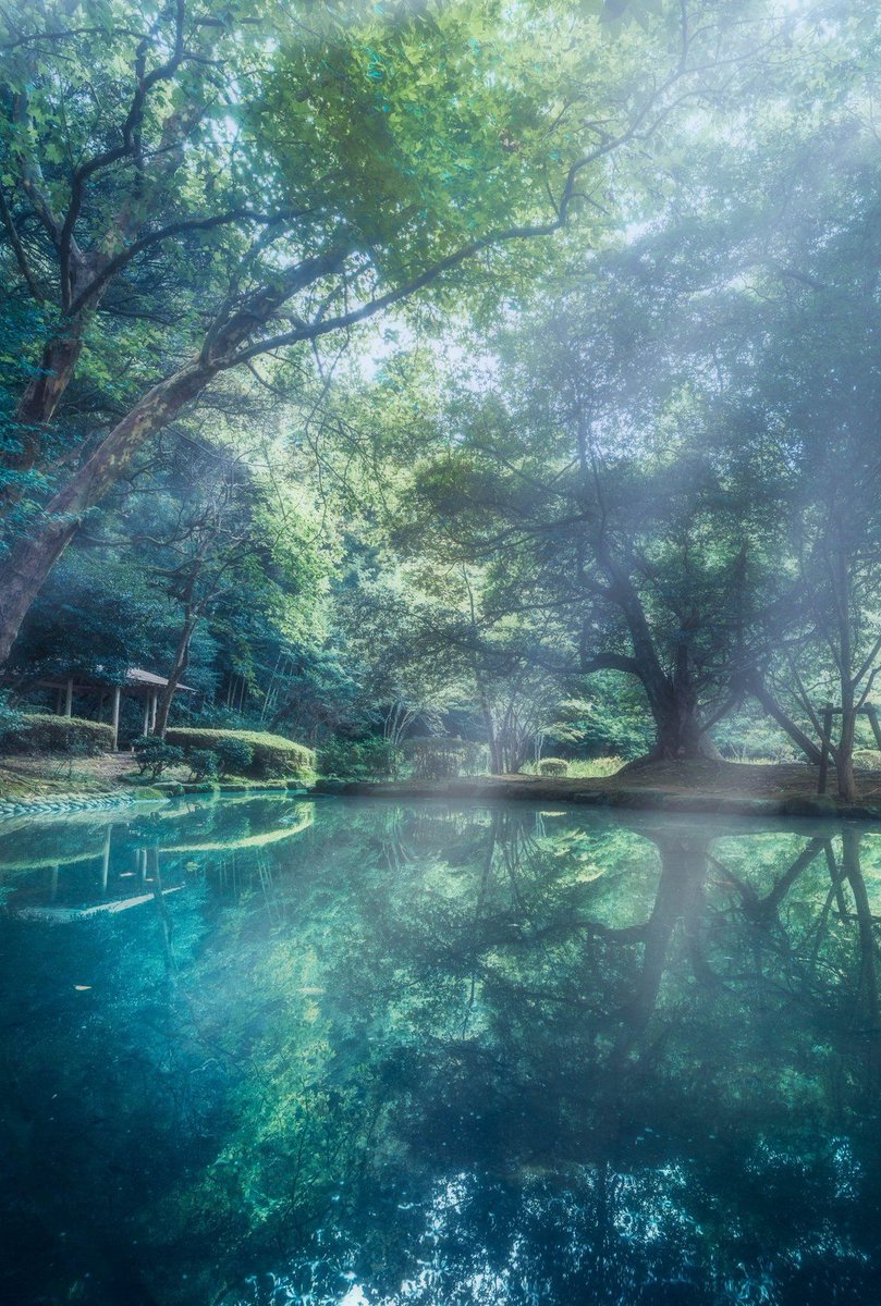 LLBSanchez's tweet image. 同期の結婚報告を聞いて、お祝いの気持ちと時の流れの早さを実感している 🐈