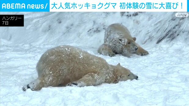 ナオ (@nao901) / Posts / X