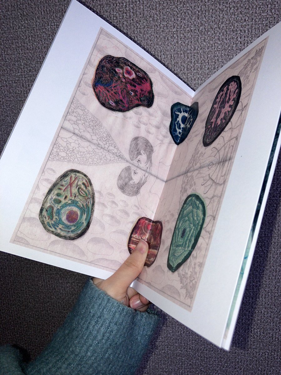 七五三（nagomi） tweet media