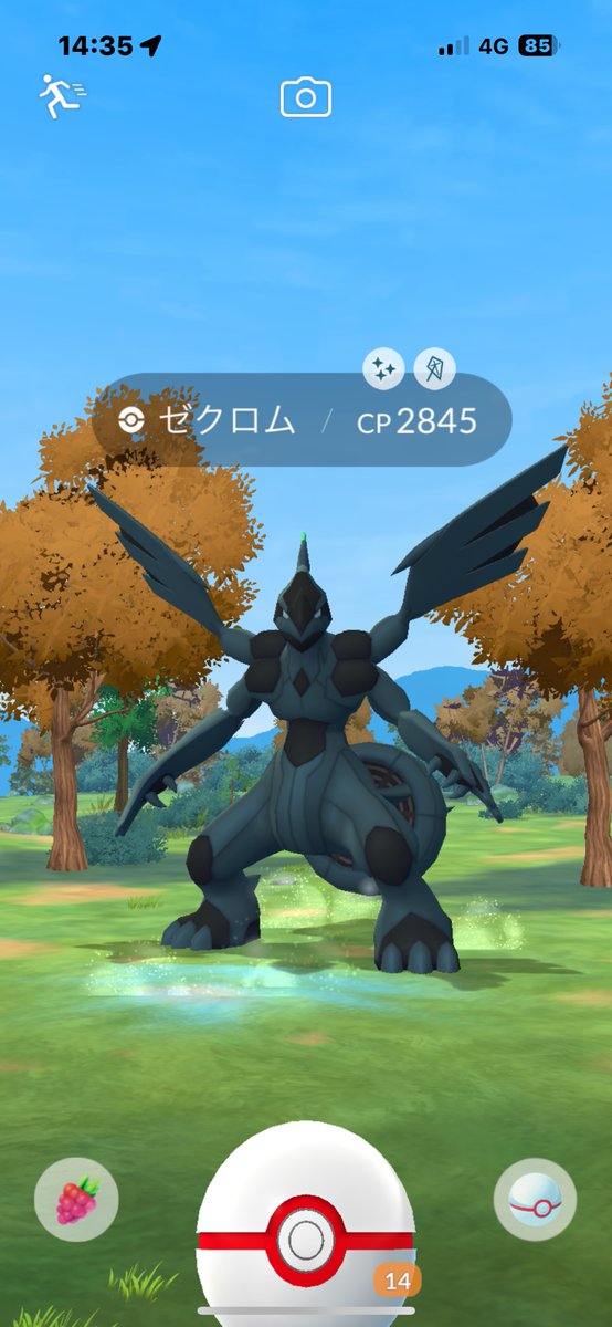 レイドディ、お疲れ様でした！
通常色100個体値は持っていたので、色100とエナジー集めでした〜。色は来たけど個体値はイマイチ😅ついでにゼクロムも🙌フレンドの皆様、乱入させて頂きました、ありがとうございました🙇