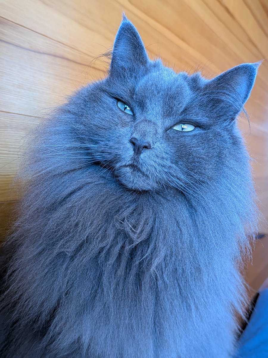 Post by トポハナ🏖海に行こうよ!!本出たよ on X: ほう…？