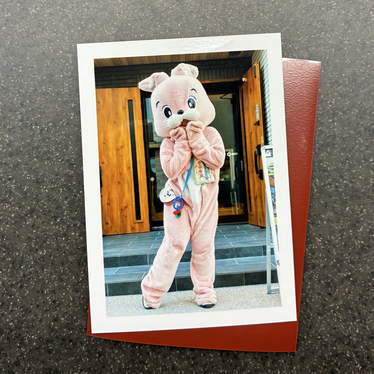 うさきち【公式】USAKICHI (@go_go_usakichi) / Posts / X