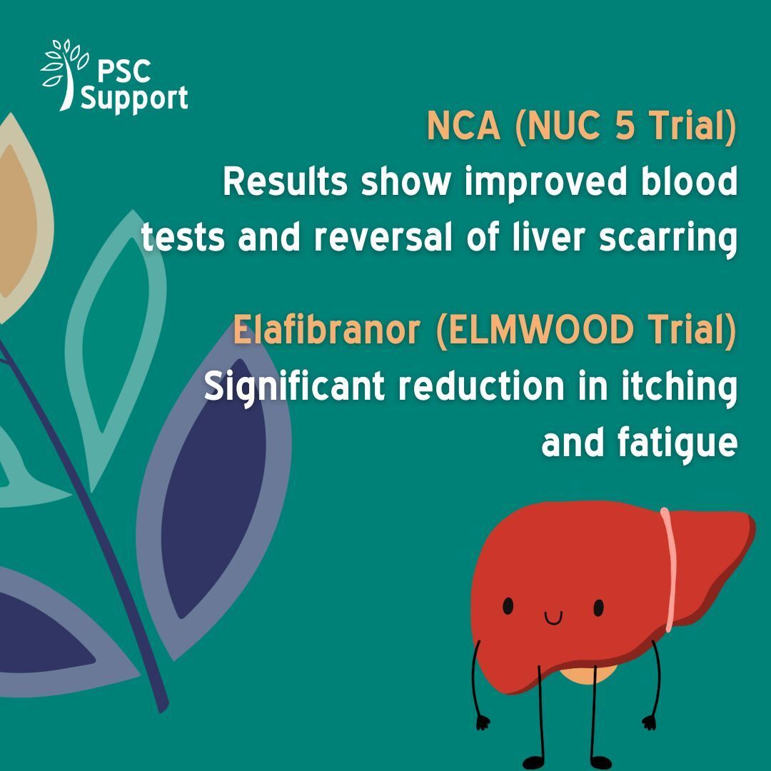 PSCSupportUK's tweet image. 2025 was a year of progress towards treatments for the PSC community. Swipe to see the highlights from four major trials: NCA, Nebokitug, Elafibranor, and Volixibat and read the full Research Roundup ⬇️ 
buff.ly/TPvXM93 
#LetsBeatPSC #PSCSupport #LiverResearch